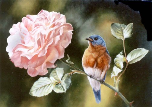 РОЗА - ветка, цветы, розовая роза, птичка, синичка - оригинал