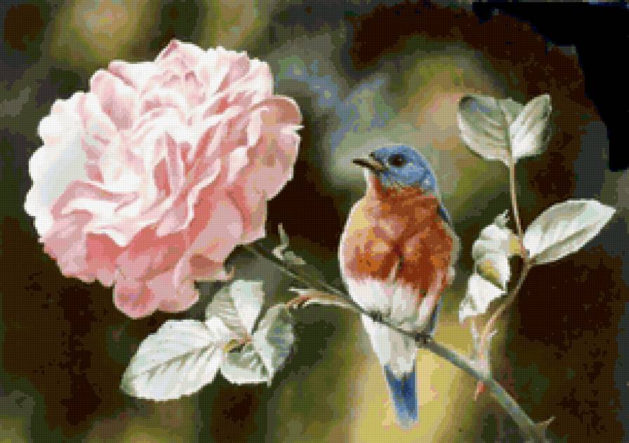РОЗА - птичка, цветы, розовая роза, синичка, ветка - предпросмотр