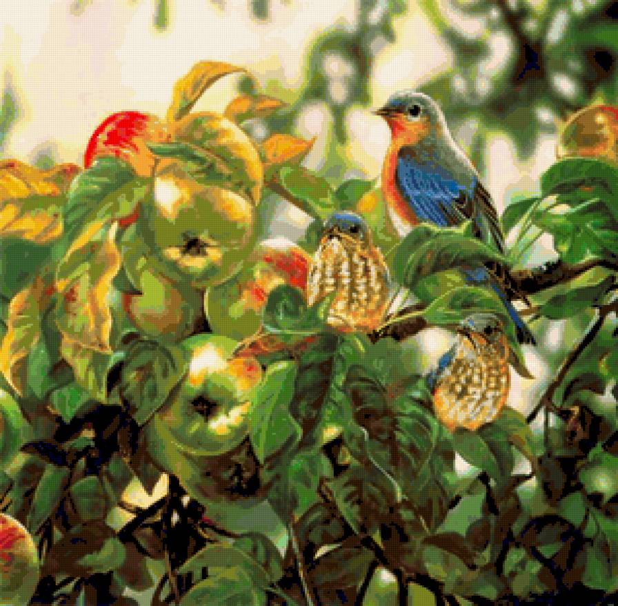 Птицы на яблоне - фрукты, природа., птицы, животные - предпросмотр