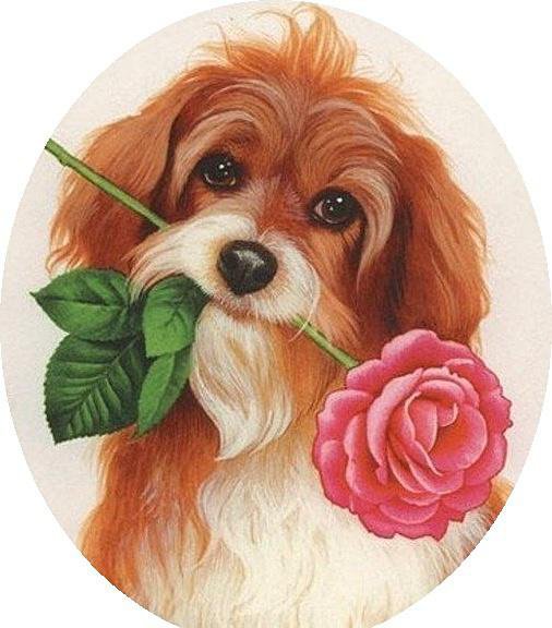 ВЛЮБЛЕННЫЙ + - валентинка, милашка, щенок, роза, очаровашка, взгляд, симпотяшка - оригинал