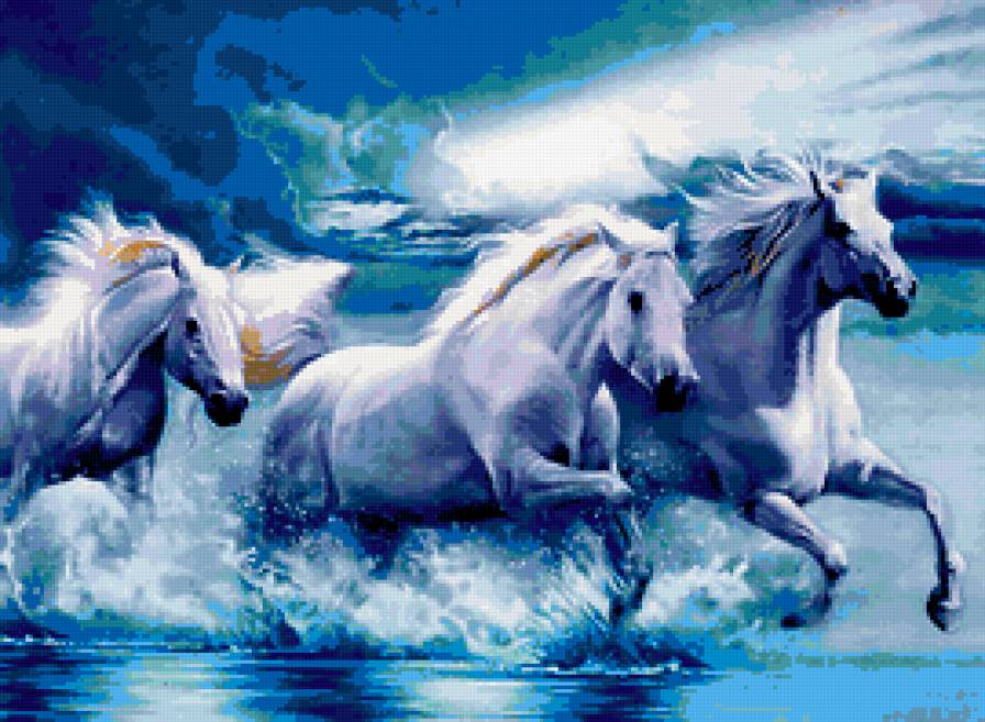 Лошадки - лошади, красиво, море - предпросмотр