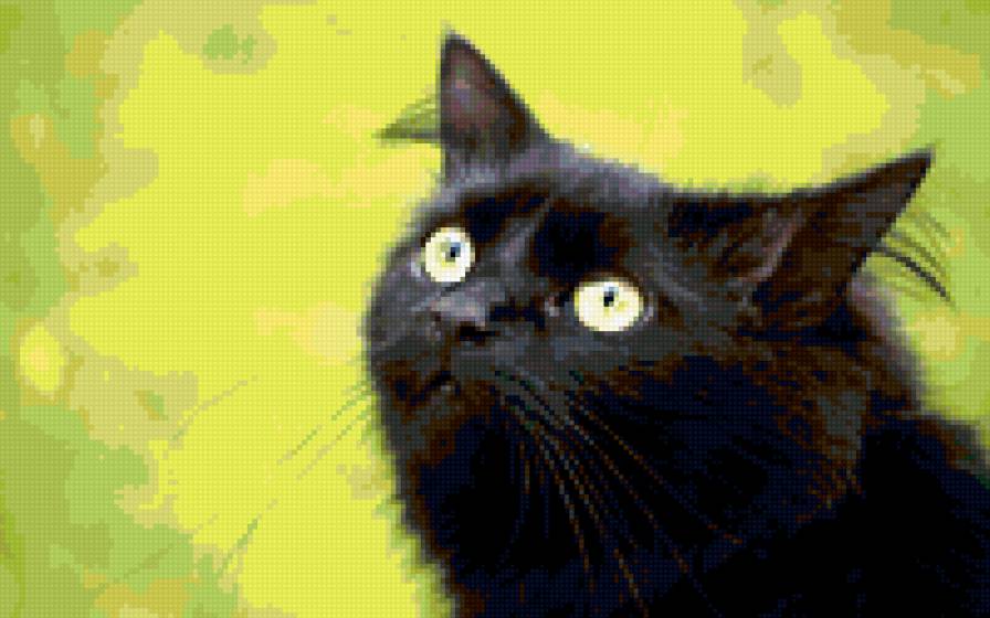 Черный котик - кошки - предпросмотр