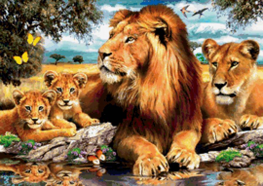 львы - животные, львы, фауна, природа, картина - предпросмотр