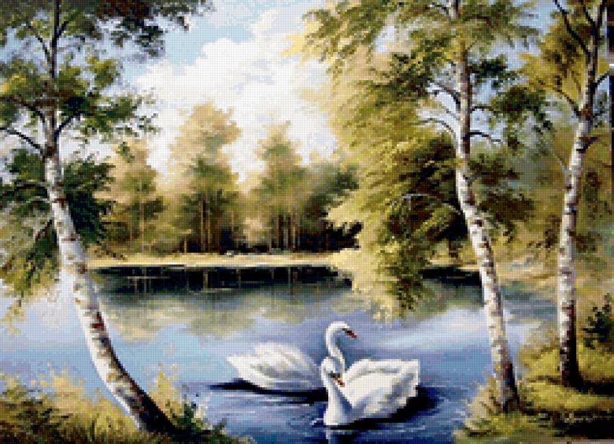 лебеди на пруду - лебеди, верность.природа.любовь, пруд - предпросмотр