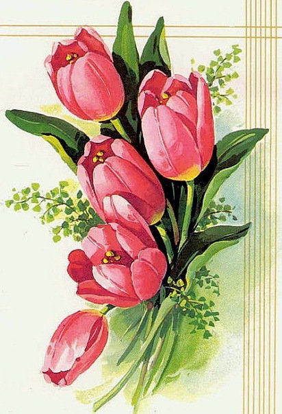 тюльпани - цветы, романтика, природа, натюрморт, букет,  - оригинал