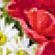 Предпросмотр схемы вышивки «полевые цветы» (№221301)