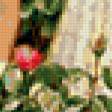Предпросмотр схемы вышивки «девочка и розы» (№221367)