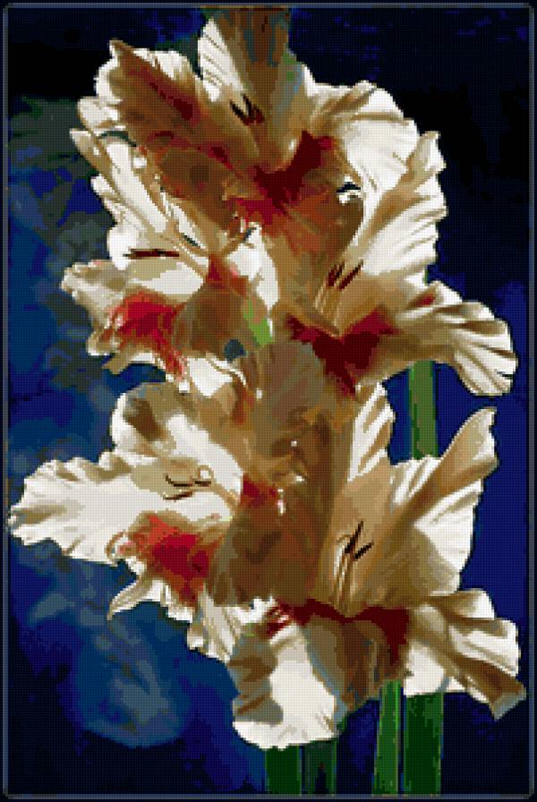Гладиолус - цветы - предпросмотр