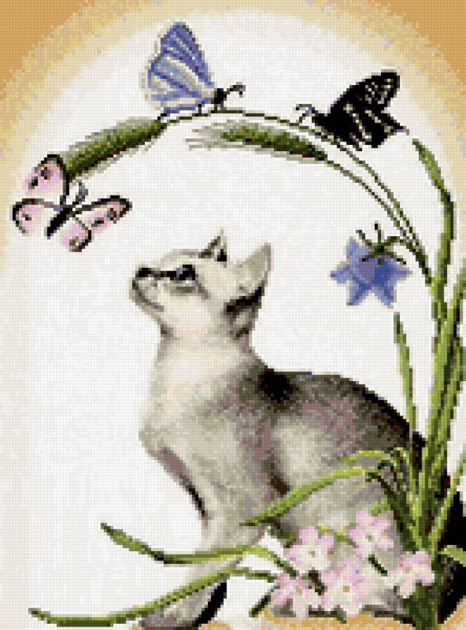 Кот с цветком - предпросмотр