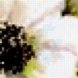 Предпросмотр схемы вышивки «Цветы» (№221535)