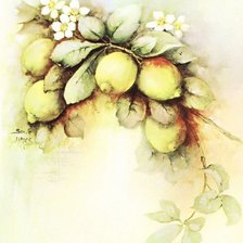 Оригинал схемы вышивки «Лимоны.» (№221554)
