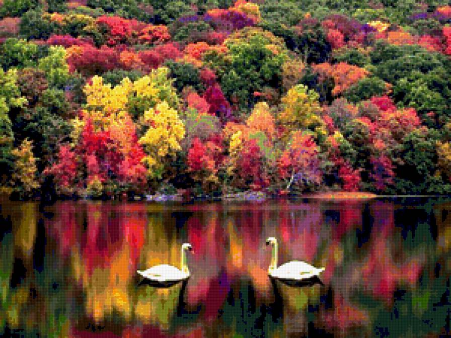 Осень - озеро, лес, лебеди, картина, осень, пейзаж - предпросмотр