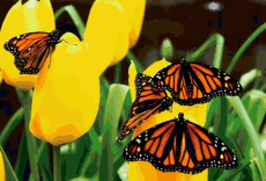 бабочки - бабочки, цветы - предпросмотр