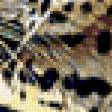 Предпросмотр схемы вышивки «Подушка Дикая кошка (леопард)» (№221851)