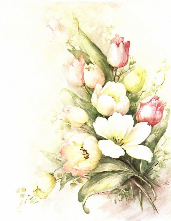 Тюльпаны - цветы, букеты, тюльпаны - оригинал