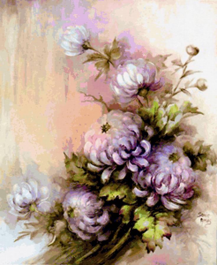 Сиреневые хризантемы - букеты, цветы, хризантемы - предпросмотр