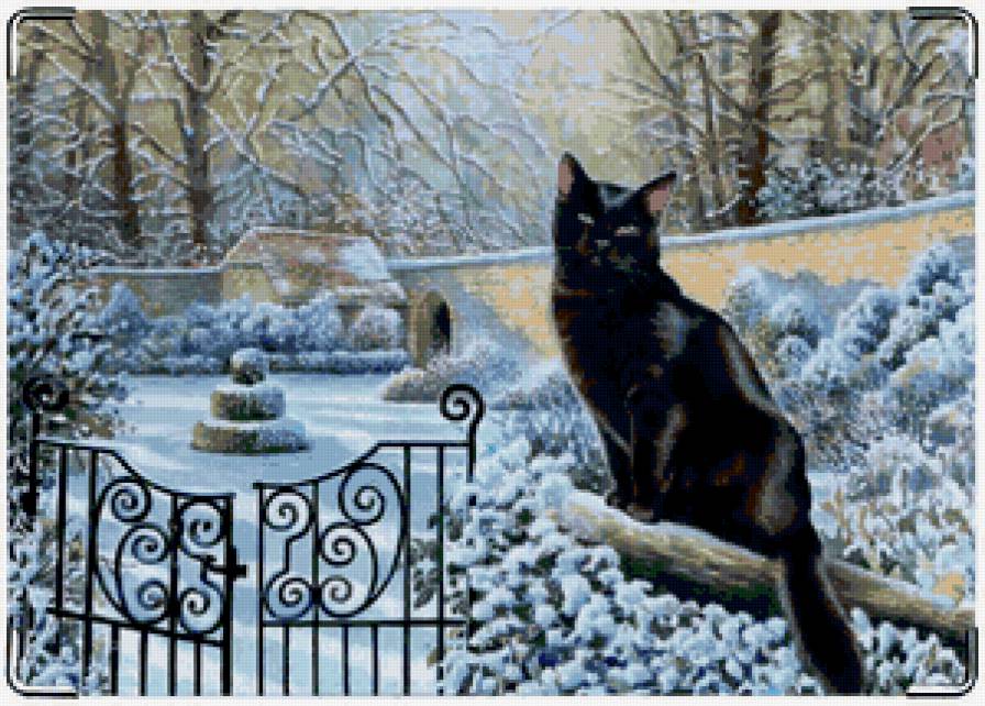 Чёрный кот - пейзаж, кот, зима - предпросмотр
