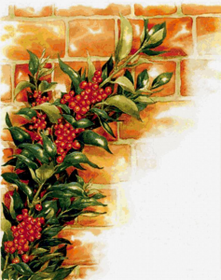 Ягода - ягода, растение, стена - предпросмотр