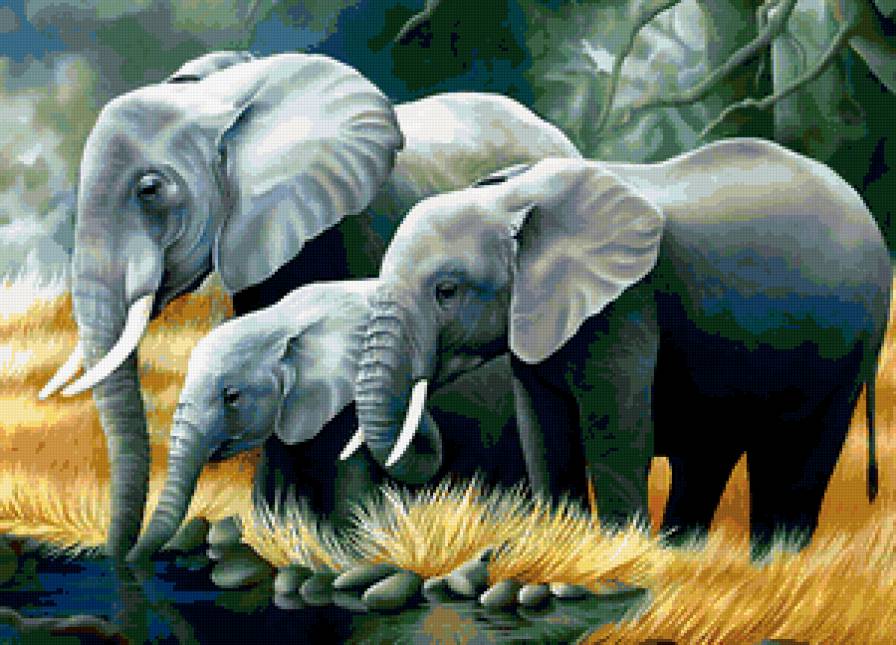 СЛОНЫ НА БЕРЕГУ ГАНГИ - слоны, живоные, семейство слонов, индия - предпросмотр