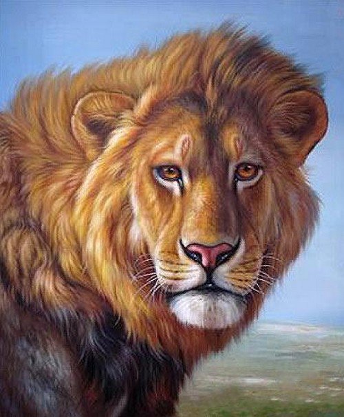 ЦАРЬ - взгляд, лев, африка, царь зверей, хищник - оригинал