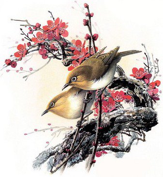Птицы - природа, птица, цветы, дерево - оригинал