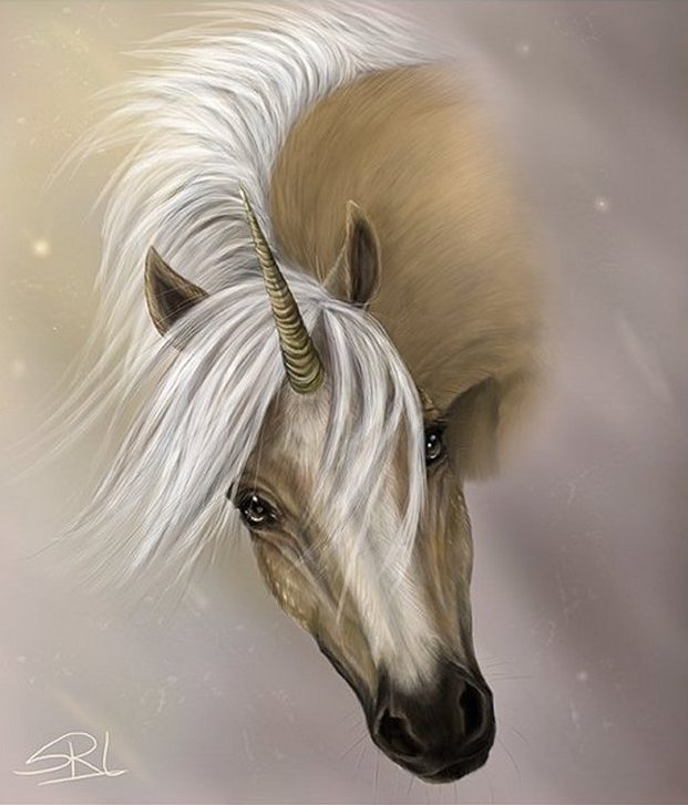 Единорог - портрет, единорог, лошадь, фентези - оригинал