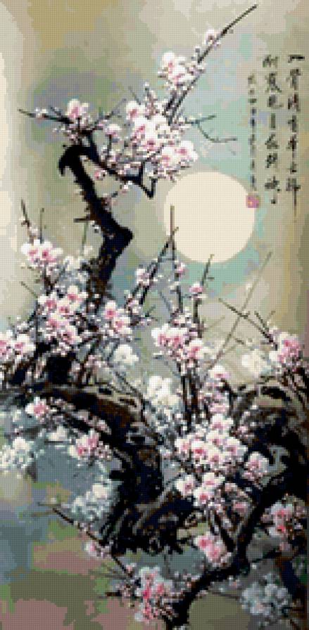 сакура - букет, цветы - предпросмотр