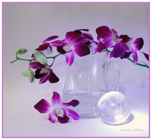 орхидея - стекло, цветы, посуда, орхидея - оригинал