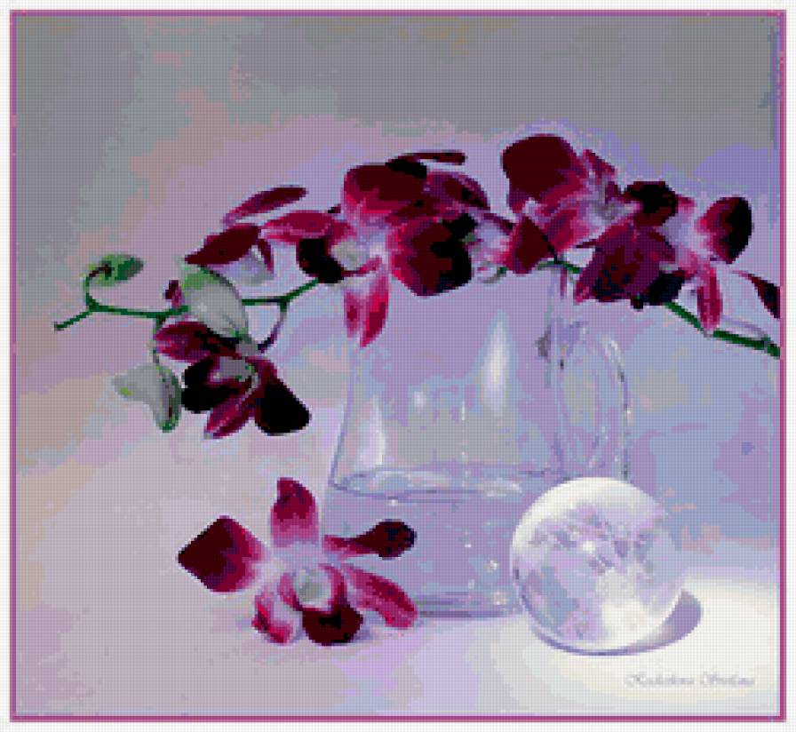 орхидея - посуда, орхидея, стекло, цветы - предпросмотр
