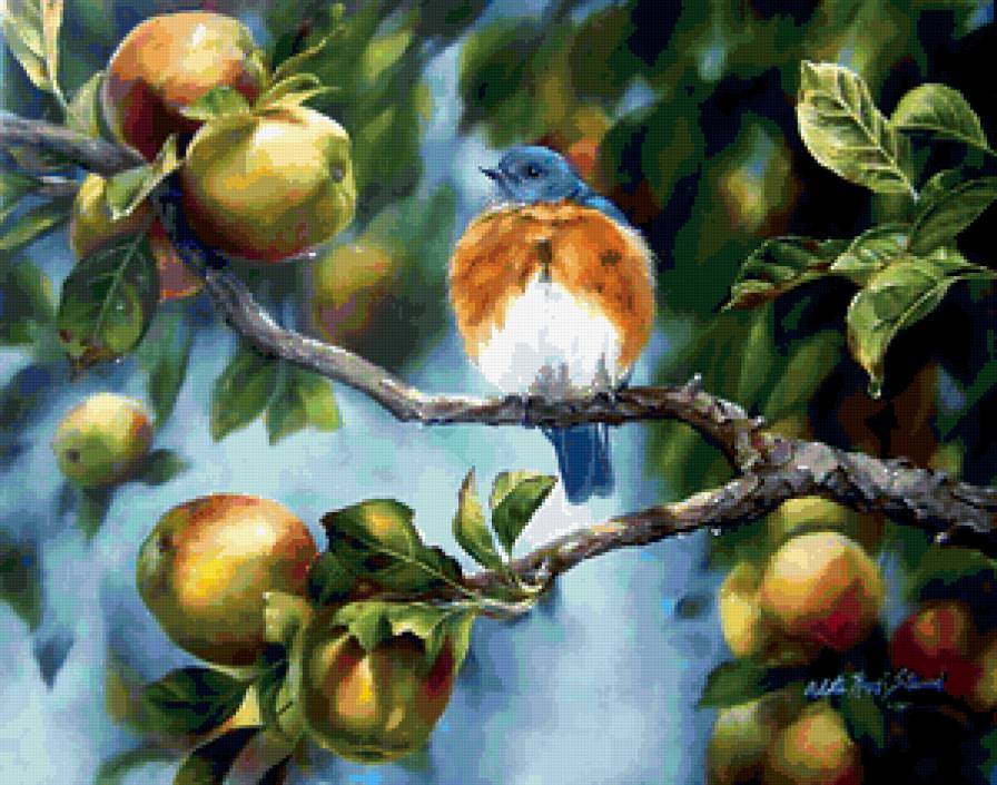 ЯБЛОКИ НА ВЕТКЕ - природа, птичка, яблоки, живопись - предпросмотр