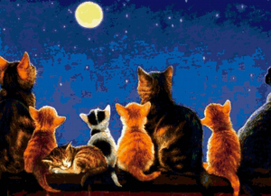 Лунные коты) - луна, кот, ночь - предпросмотр