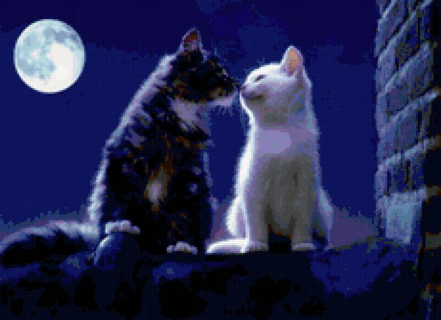 Влюбленные котики - ночь, любовь, животные - предпросмотр