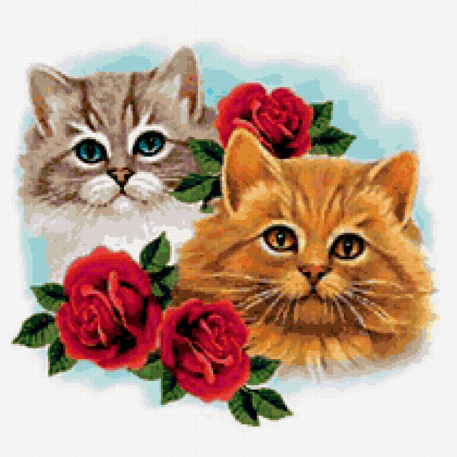 кошечки - розы, животные, кошки - предпросмотр