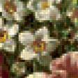 Предпросмотр схемы вышивки «Натюрморт, цветы, розы» (№224001)