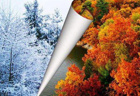 Смена года - лес, деревья, осень, времена года, природа, зима, пейзаж - оригинал