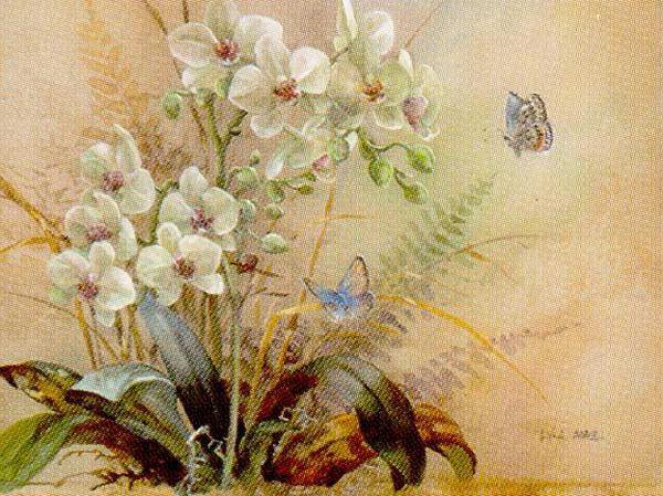 Орхидеи и бабочки - орхидеи, картина, натюрморт, природа, орхидея, бабочки, цветы, букет - оригинал