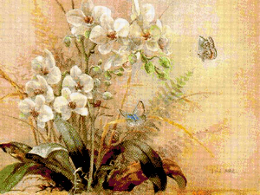 Орхидеи и бабочки - цветы, природа, орхидея, орхидеи, бабочки, букет, натюрморт, картина - предпросмотр