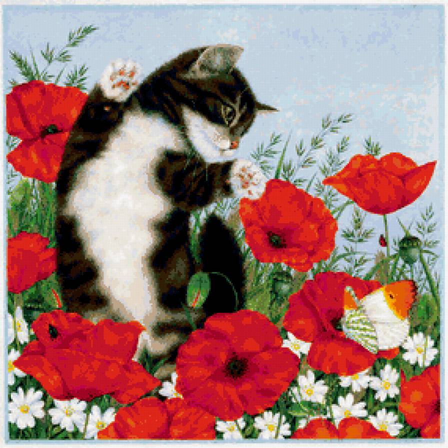 кошка - цветы, жиивотные, мак, кошки - предпросмотр