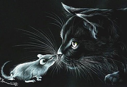 кошка - мышки, кошки, играют, жиивотные - оригинал