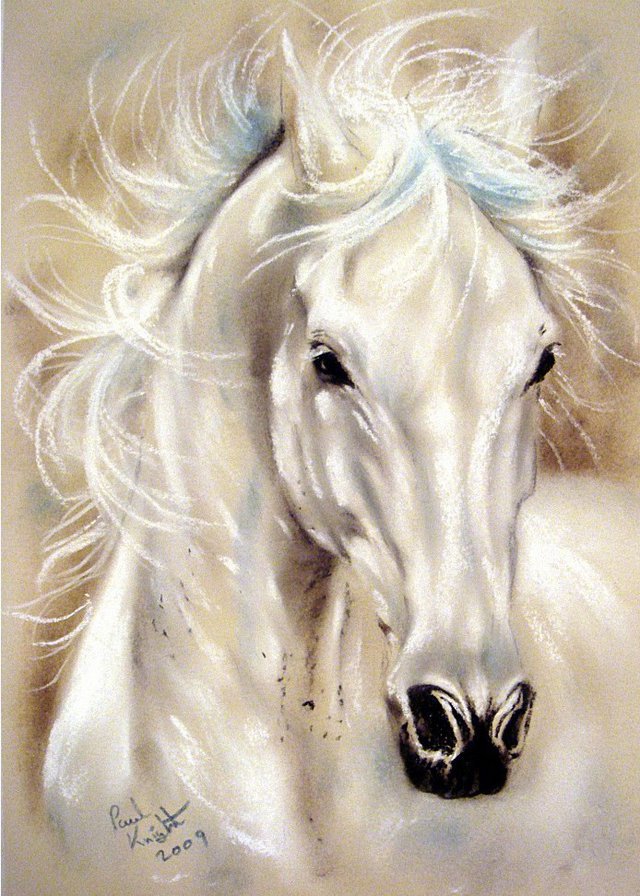 лошади - природа, лошади, фауна, картина, животные - оригинал