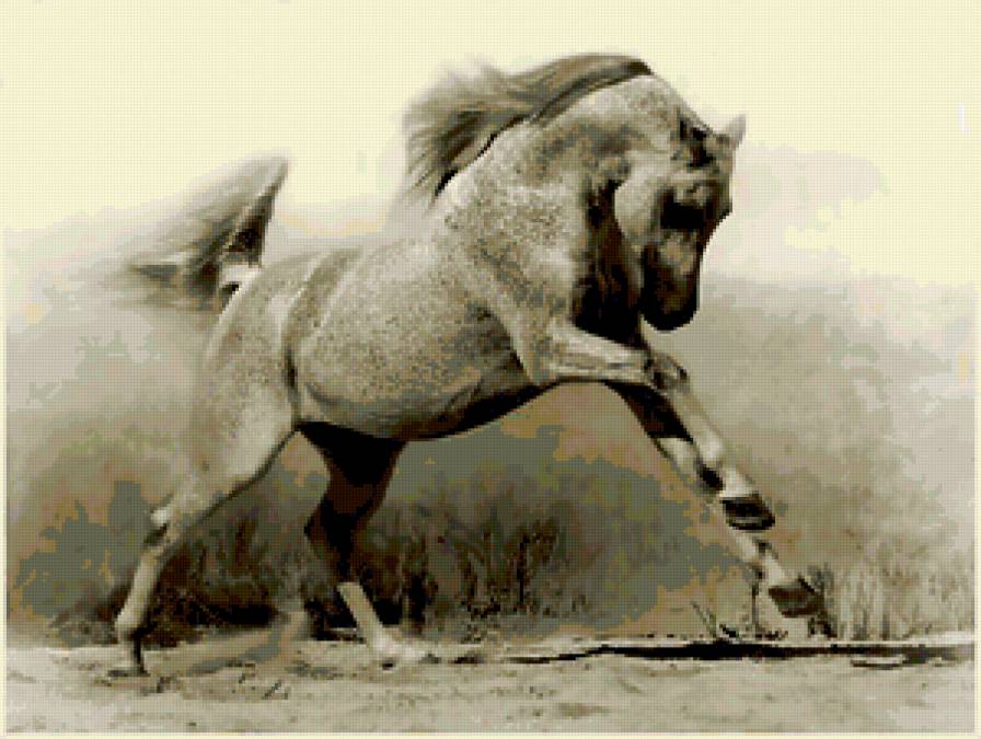 Лошадь - лошадь, конь - предпросмотр