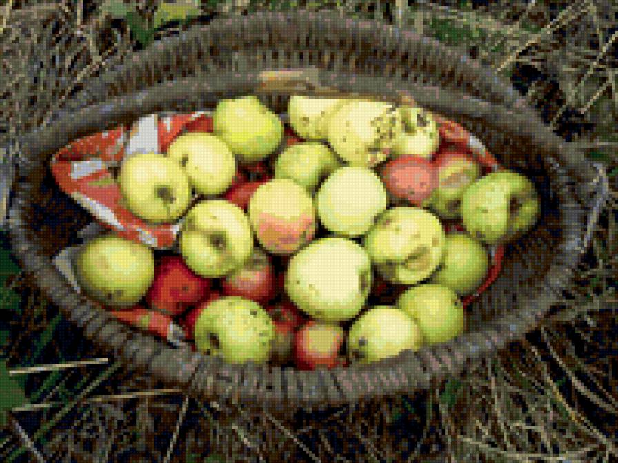 Яблоки - яблоки, булатово, фрукты - предпросмотр