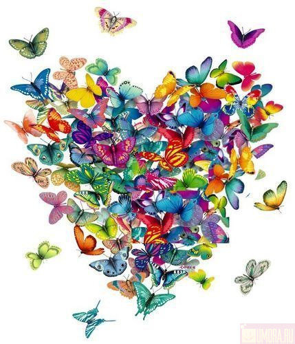 Сердце из бабочек - сердце, бабочки - оригинал