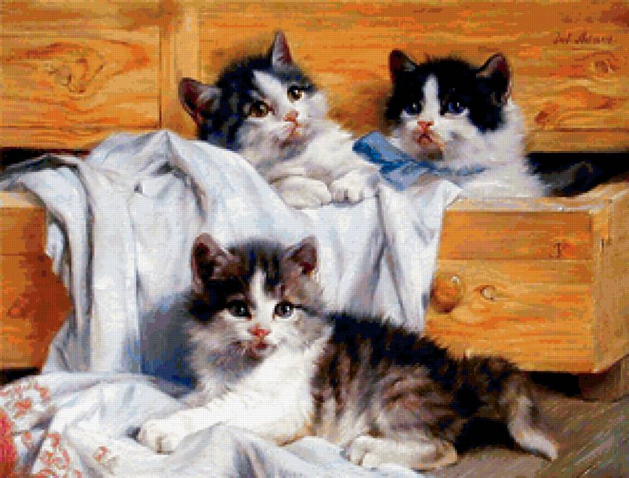 котята - домашные животные, муськи, ящик, кошки, белая кошка, мурки - предпросмотр