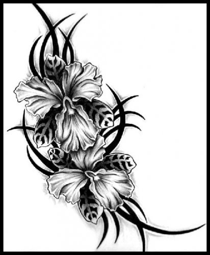 орхидеи - цветы, рисунок, орхидеи - оригинал