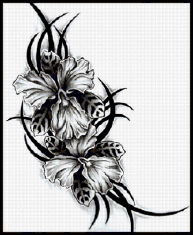 орхидеи - цветы, рисунок, орхидеи - предпросмотр