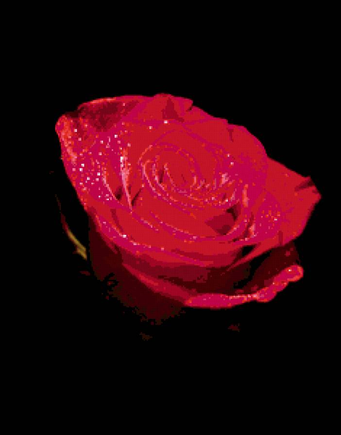 Красная роза - роза - предпросмотр