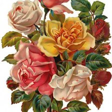Оригинал схемы вышивки «розы» (№225781)