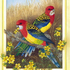 Оригинал схемы вышивки «Птицы» (№226017)