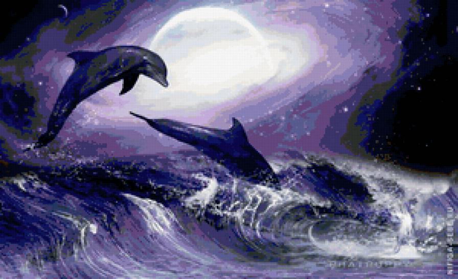 Дельфины ночью - дельфин, луна, ночь, море - предпросмотр